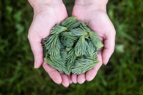 Natural chemical-free beauty products