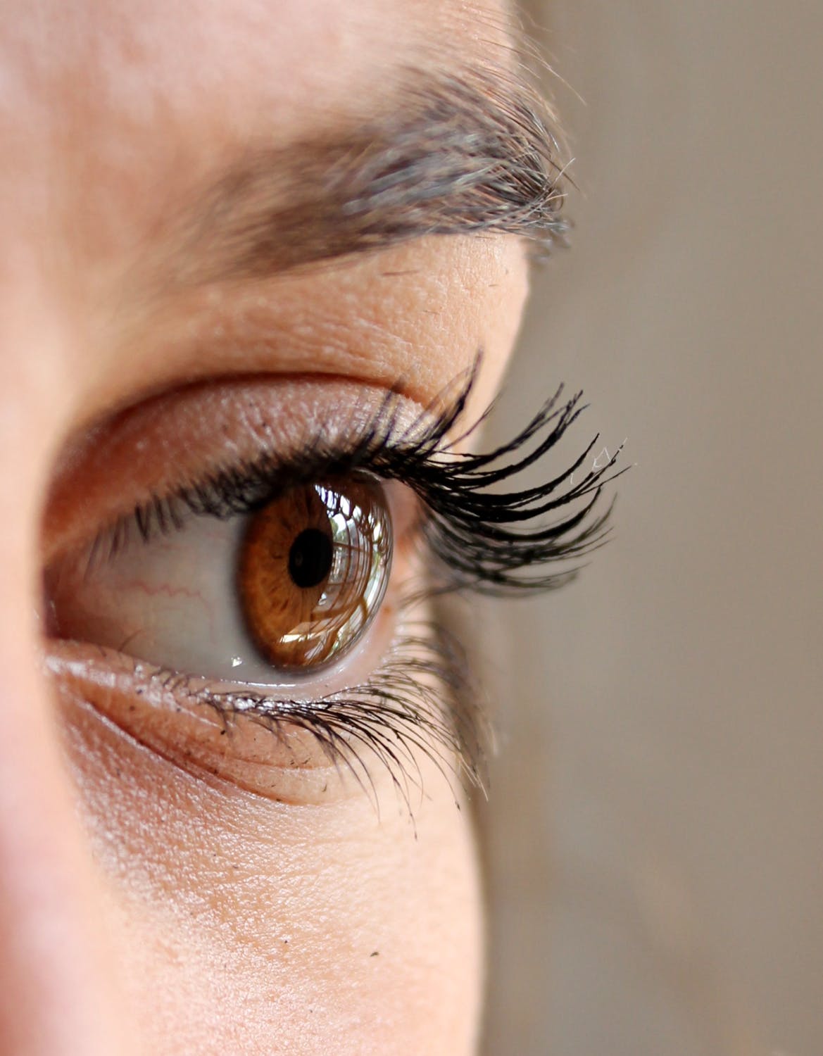 How Peptides Promote Lash and Eyebrow Growth