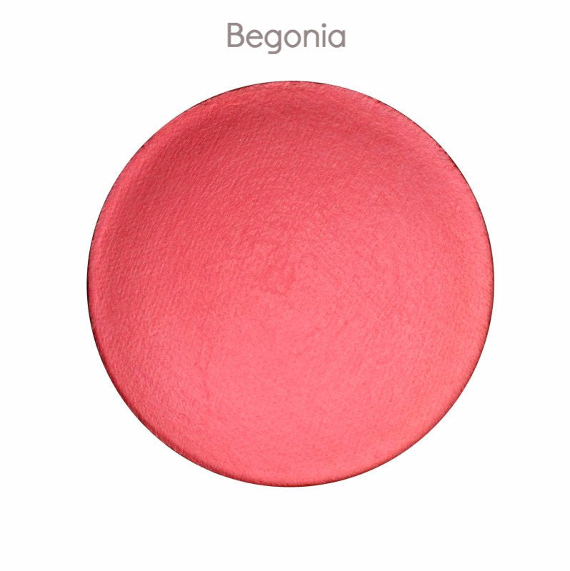 Begonia - pink/coral - matte